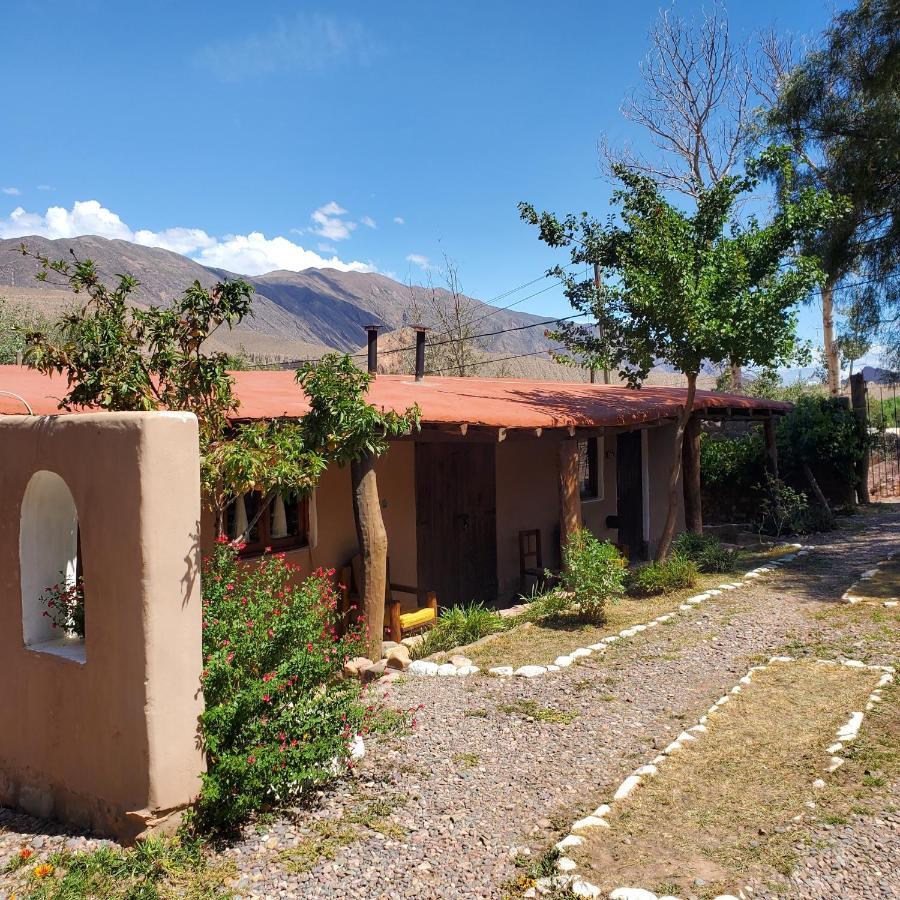 Alta Montana Cabanas Ξενοδοχείο Tilcara Εξωτερικό φωτογραφία