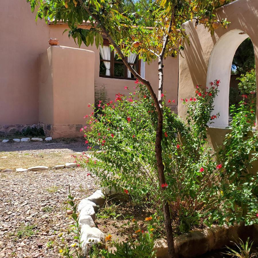 Alta Montana Cabanas Ξενοδοχείο Tilcara Εξωτερικό φωτογραφία