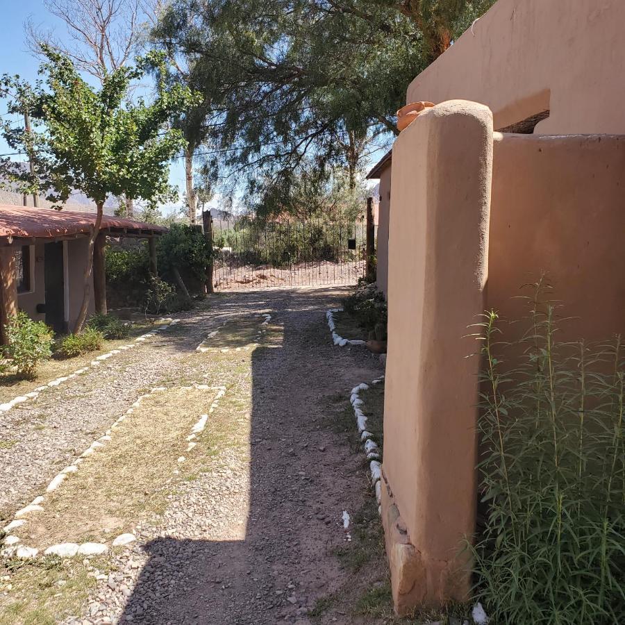 Alta Montana Cabanas Ξενοδοχείο Tilcara Εξωτερικό φωτογραφία